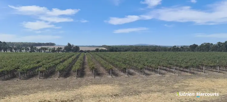 Sixth view of Homely rural property listing, 267 Spencer Road, Narrikup WA 6326