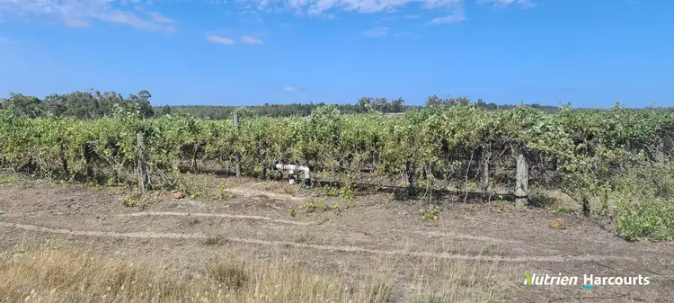 Seventh view of Homely rural property listing, 267 Spencer Road, Narrikup WA 6326