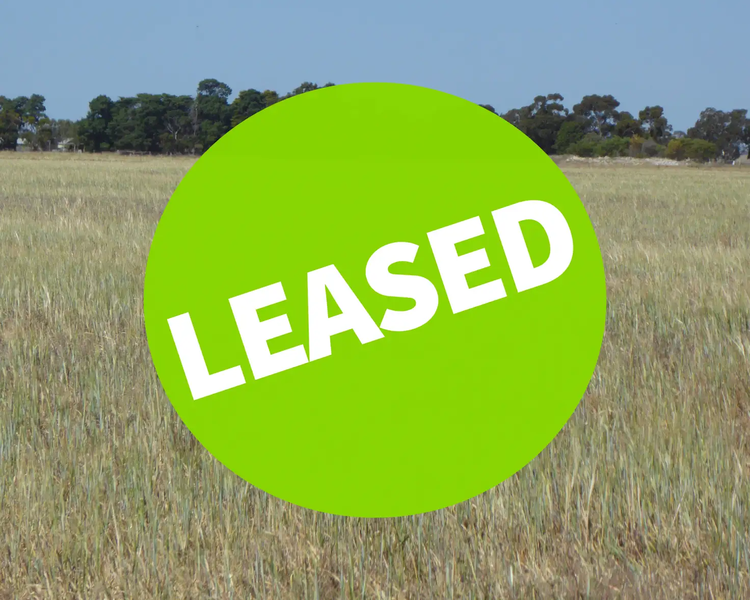 Main view of Homely rural property listing, Allotment 1 Cnr Bell Road and Carcuma Road, Tintinara SA 5266