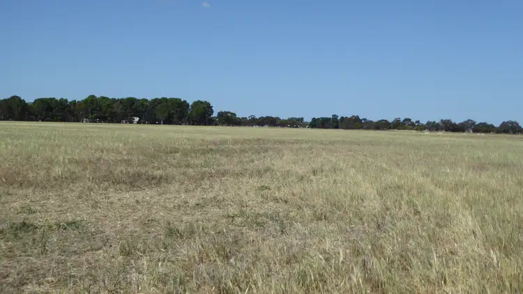 Fourth view of Homely rural property listing, Allotment 1 Cnr Bell Road and Carcuma Road, Tintinara SA 5266