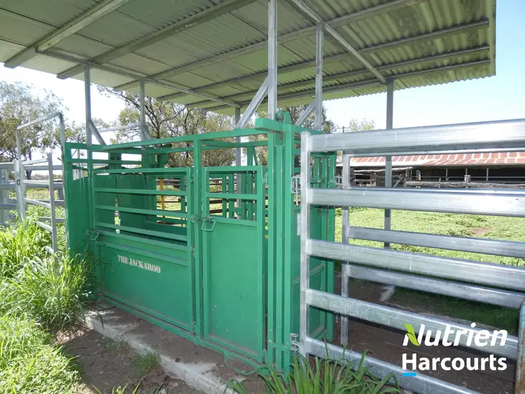 Second view of Homely rural property listing, "YOB" 1804 Rennicks Road, Chinchilla QLD 4413