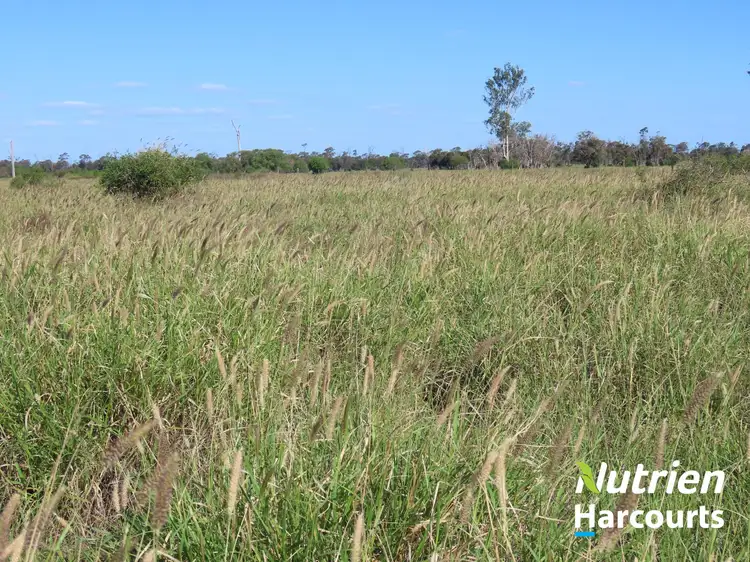 Sixth view of Homely rural property listing, "YOB" 1804 Rennicks Road, Chinchilla QLD 4413