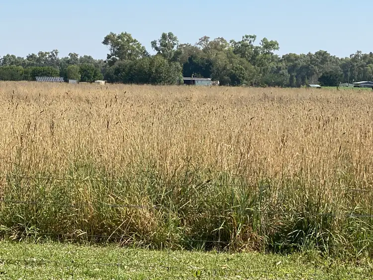 Fourth view of Homely rural property listing, 110 Warrul Road, Forbes NSW 2871