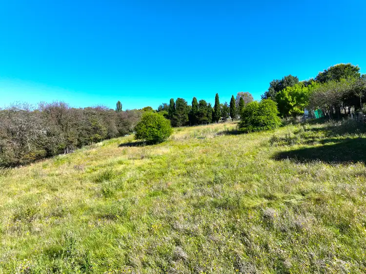 Seventh view of Homely land listing, 51 High Street, Bombala NSW 2632