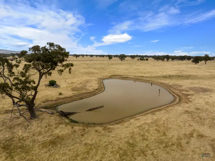 Fifth view of Homely rural property listing, 145 Mahers Road, Violet Town VIC 3669