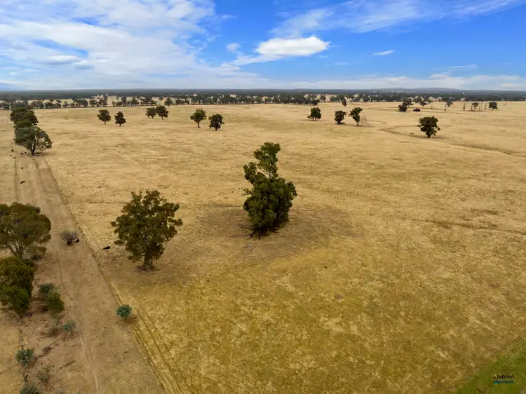Sixth view of Homely rural property listing, 145 Mahers Road, Violet Town VIC 3669