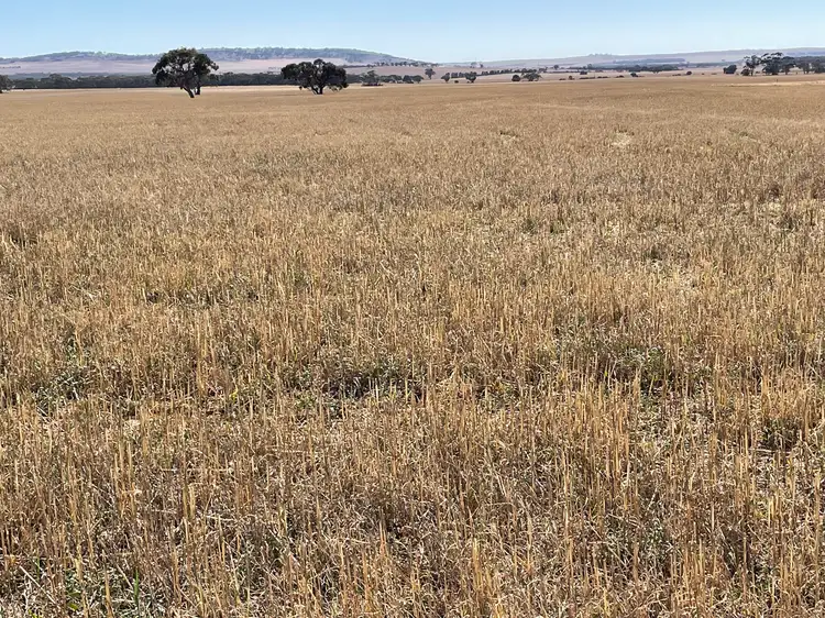 Third view of Homely rural property listing, 2 Railway terrace, Point Pass SA 5374