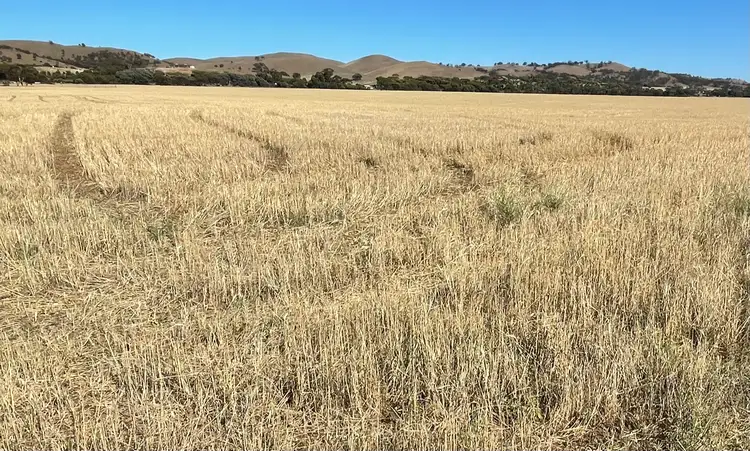Fourth view of Homely rural property listing, 2 Railway terrace, Point Pass SA 5374