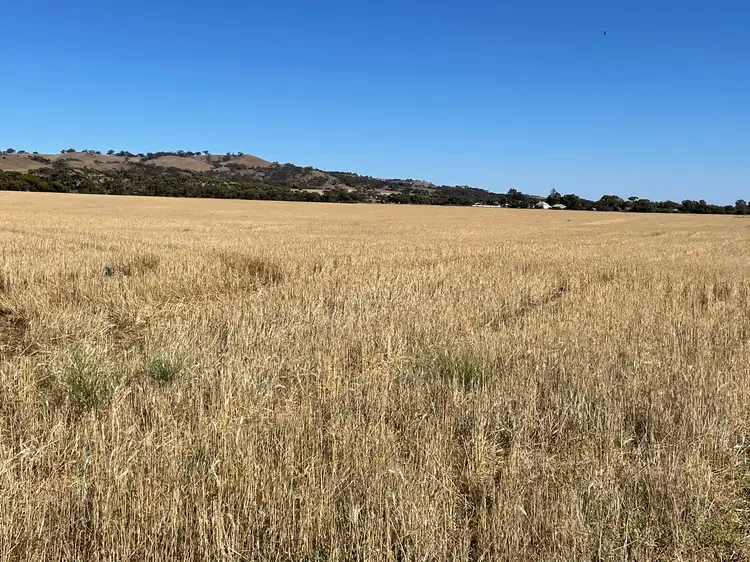 Fifth view of Homely rural property listing, 2 Railway terrace, Point Pass SA 5374