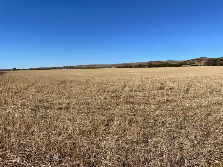 Seventh view of Homely rural property listing, 2 Railway terrace, Point Pass SA 5374