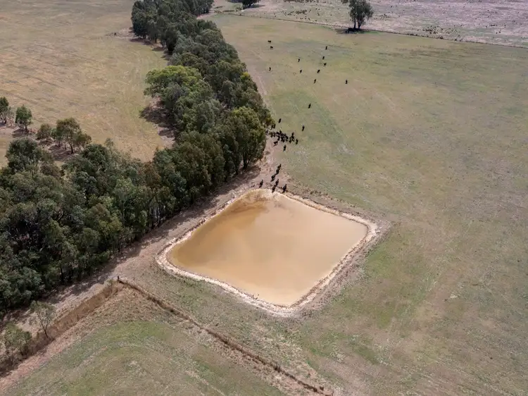 Second view of Homely rural property listing, 00 Colemans Lane, Milawa VIC 3678
