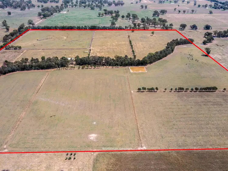 Seventh view of Homely rural property listing, 00 Colemans Lane, Milawa VIC 3678