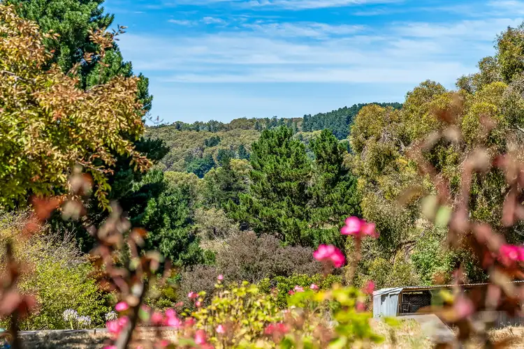 Second view of Homely house listing, 166 Basket Range Road, Basket Range SA 5138