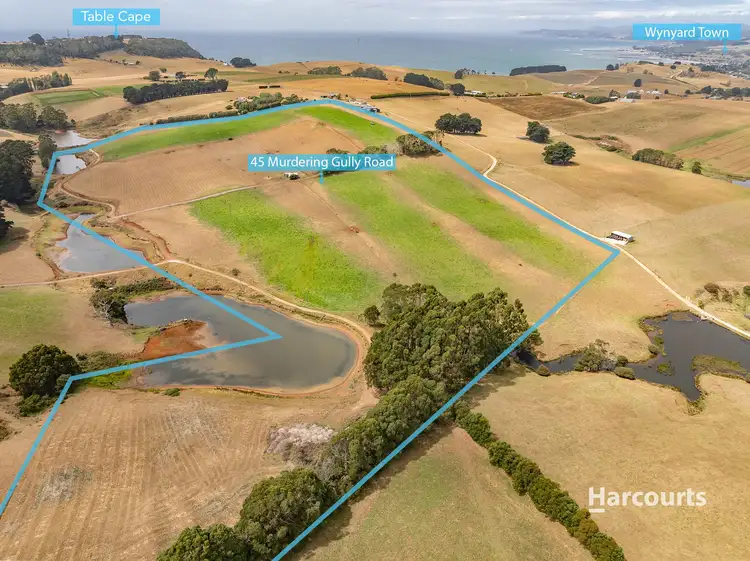 Sixth view of Homely land listing, 45 Murdering Gully Road, Table Cape TAS 7325