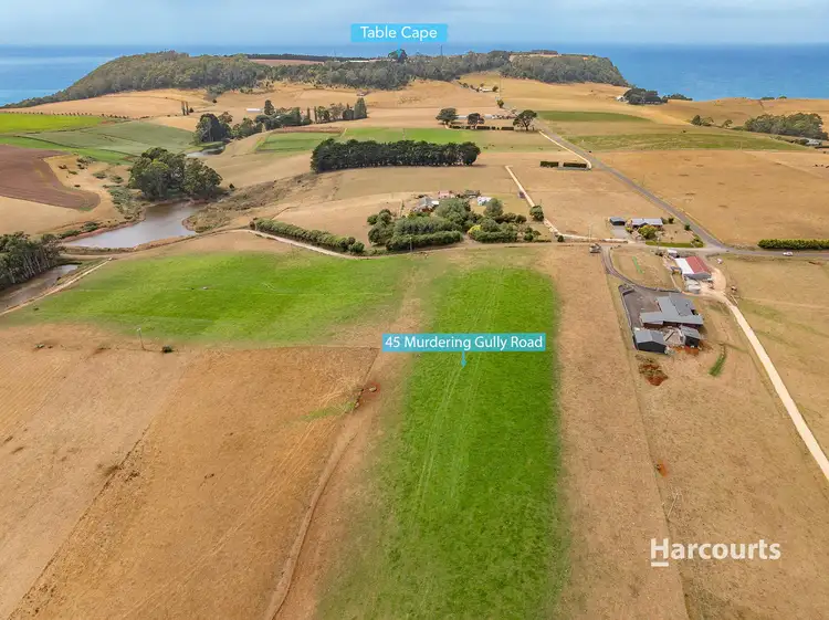 Seventh view of Homely land listing, 45 Murdering Gully Road, Table Cape TAS 7325