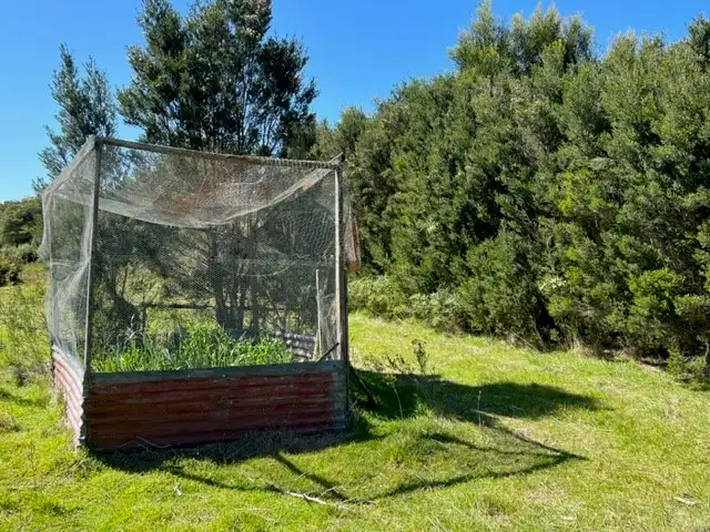 Fourth view of Homely house listing, 803 Coast Road, Lady Barron TAS 7255