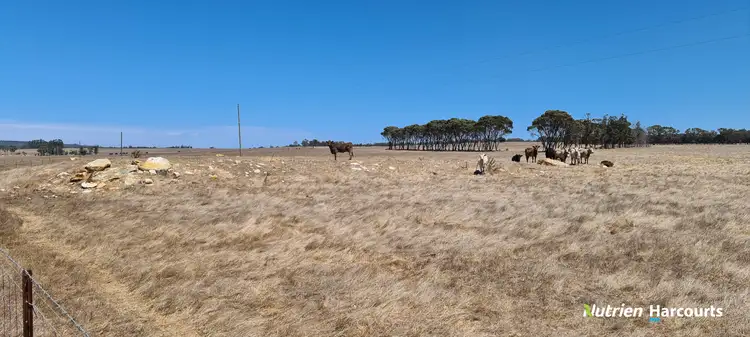 Sixth view of Homely rural property listing, 94 Tingelup Road, Porongurup WA 6324