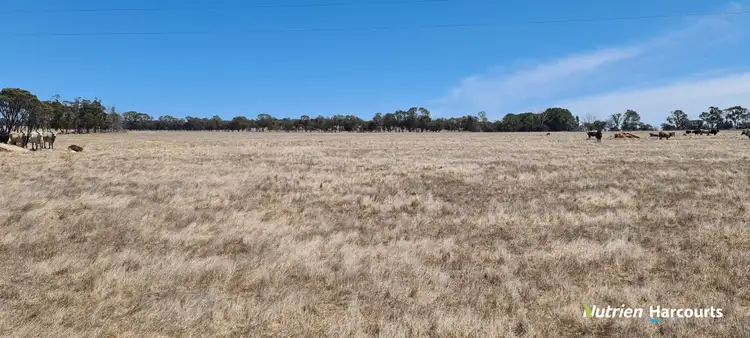 Seventh view of Homely rural property listing, 94 Tingelup Road, Porongurup WA 6324