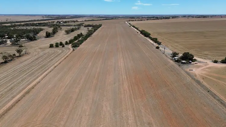 Lot 49-52 Shackleford Road, Minnipa SA 5654