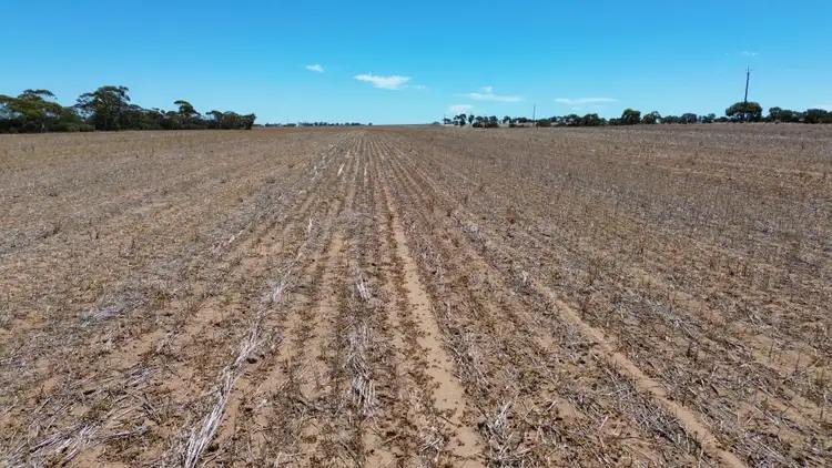 Second view of Homely rural property listing, Lot 49-52 Shackleford Road, Minnipa SA 5654