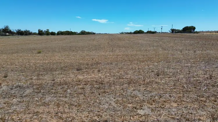 Fourth view of Homely rural property listing, Lot 49-52 Shackleford Road, Minnipa SA 5654