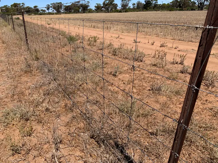 Fifth view of Homely rural property listing, Lot 49-52 Shackleford Road, Minnipa SA 5654