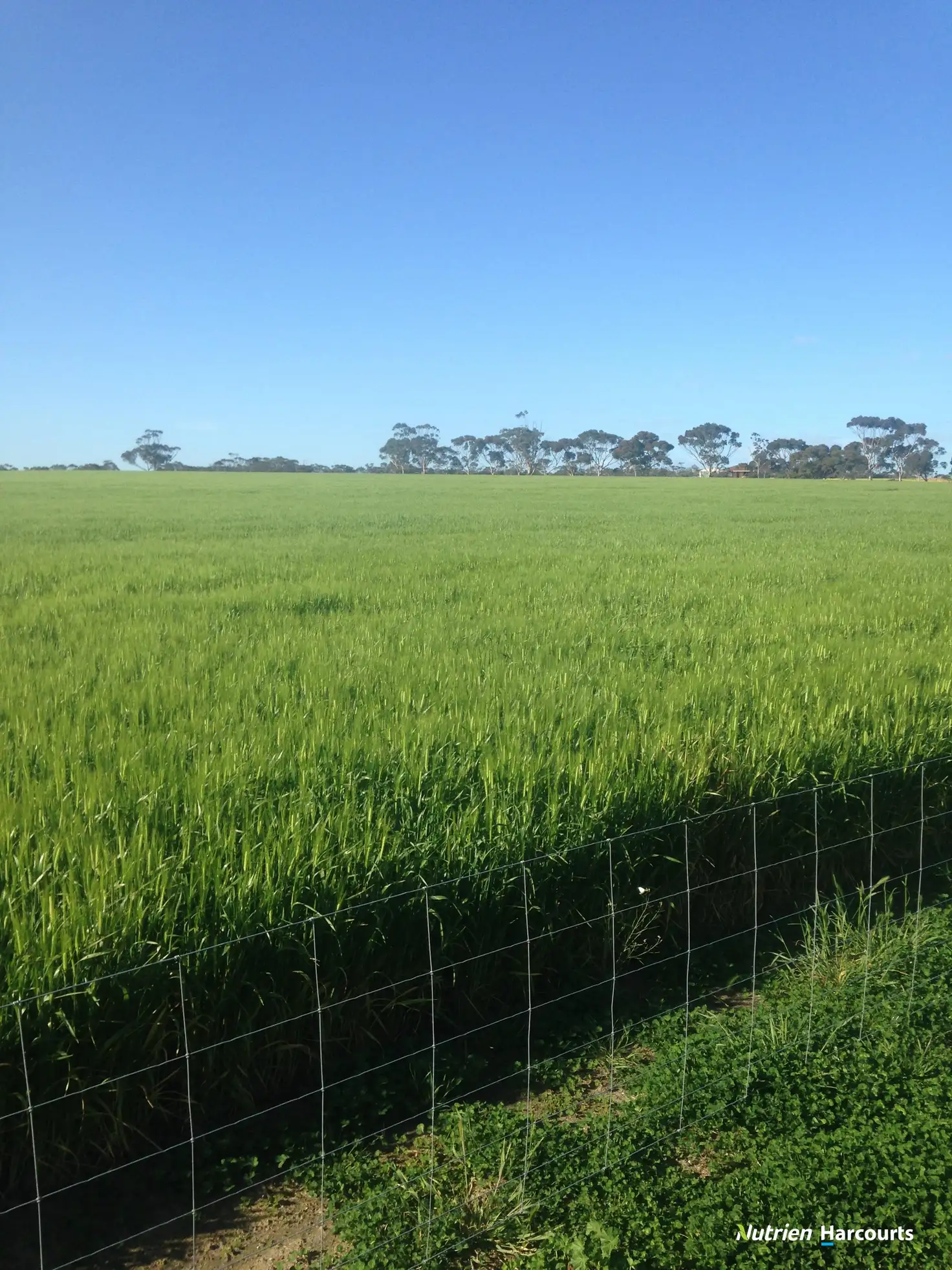 Main view of Homely rural property listing, 857 Cowalellup Road, Gairdner WA 6337