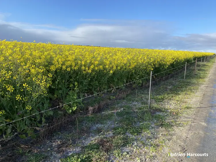 Third view of Homely rural property listing, 857 Cowalellup Road, Gairdner WA 6337