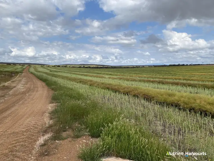 Fourth view of Homely rural property listing, 857 Cowalellup Road, Gairdner WA 6337