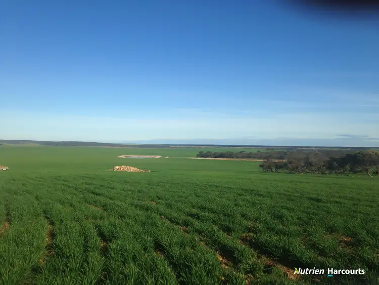 Sixth view of Homely rural property listing, 857 Cowalellup Road, Gairdner WA 6337