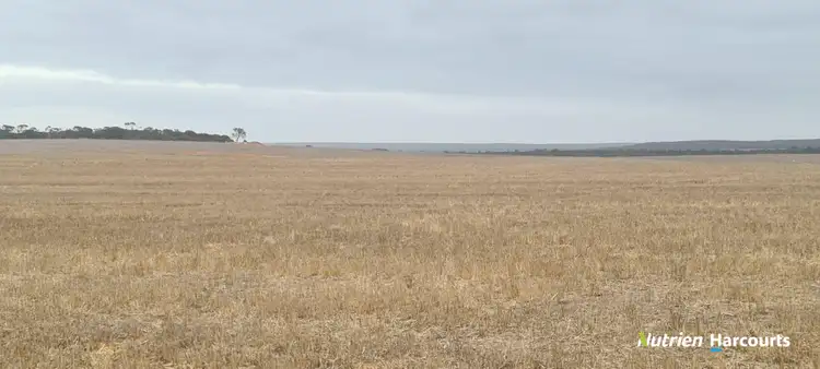 Seventh view of Homely rural property listing, 857 Cowalellup Road, Gairdner WA 6337