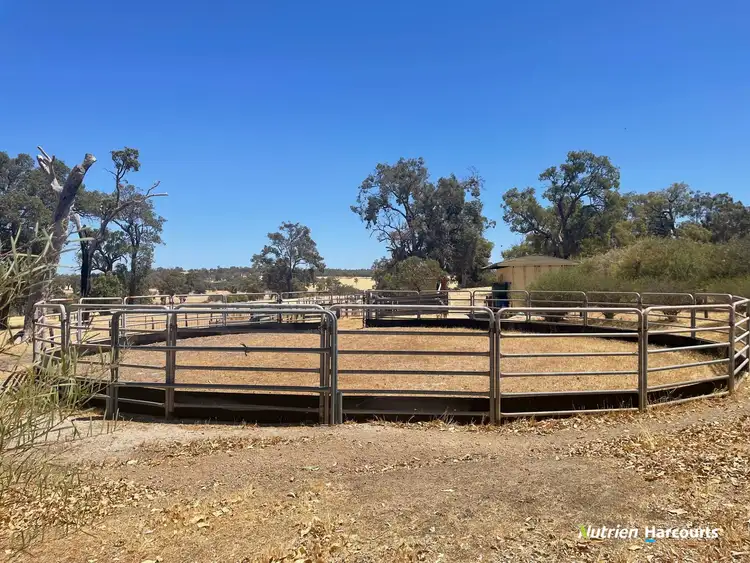 Sixth view of Homely house listing, 16 Chantler Link, Bakers Hill WA 6562