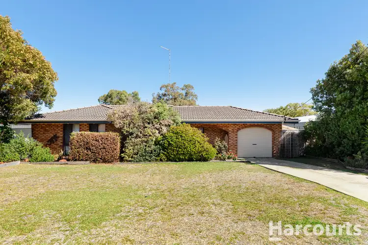 Second view of Homely house listing, 7 Vanessa Road, Falcon WA 6210