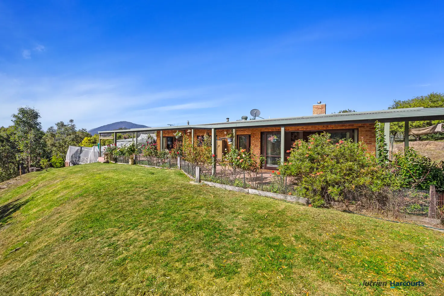 Main view of Homely house listing, 24 Joe Taylor Rise, Eildon VIC 3713