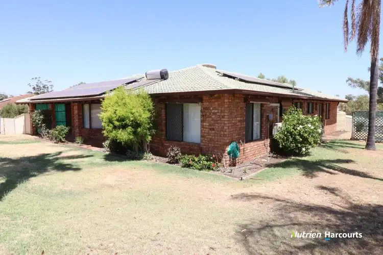 Main view of Homely house listing, 26 Essex Street, Northampton WA 6535