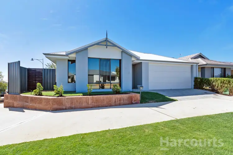 8 Chuditch Street, Banksia Grove WA 6031