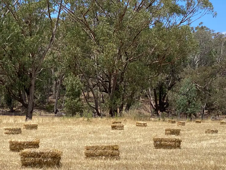 Second view of Homely rural property listing, 470 Yambira Road, Grenfell NSW 2810
