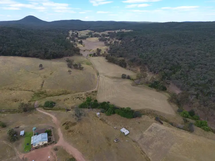 Fourth view of Homely rural property listing, 470 Yambira Road, Grenfell NSW 2810