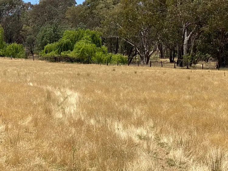 Fifth view of Homely rural property listing, 470 Yambira Road, Grenfell NSW 2810