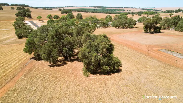 Fourth view of Homely land listing, Lot 116 Daviesia Fairway, Gingin WA 6503