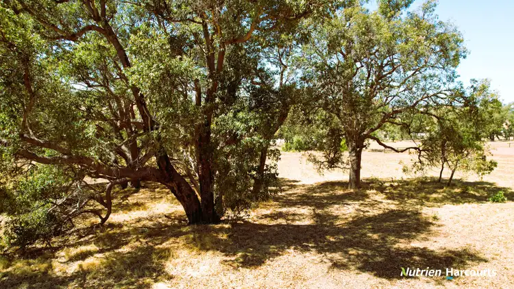 Sixth view of Homely land listing, Lot 116 Daviesia Fairway, Gingin WA 6503