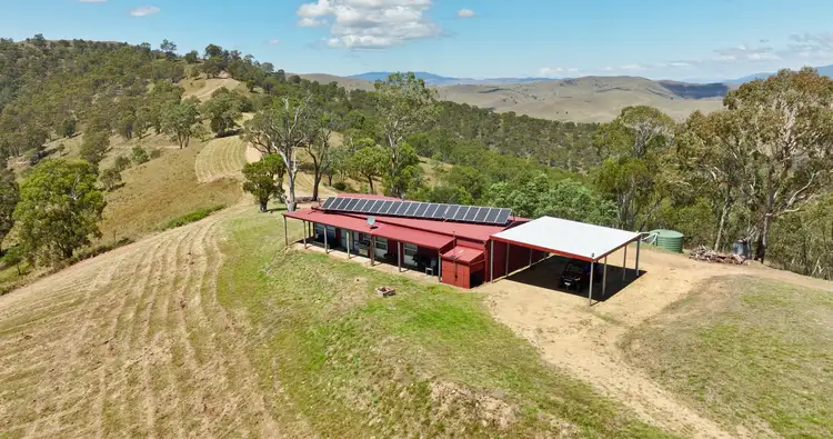 291B Murphys Forest Road, Benambra VIC 3900