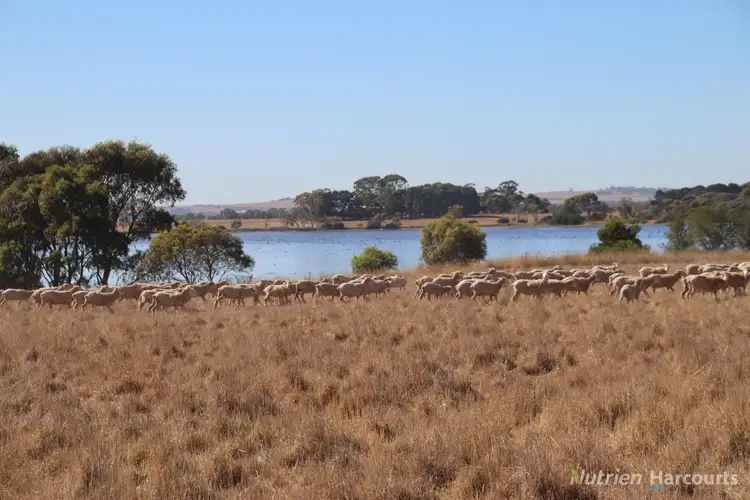 Second view of Homely rural property listing, 360 Dobsons Lane, Burrumbeet VIC 3352