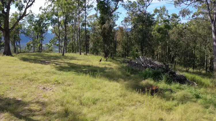 Third view of Homely rural property listing, 2310 Billirimba Road, Tenterfield NSW 2372