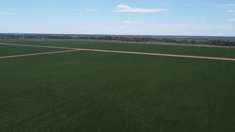 Second view of Homely rural property listing, . Carinda Rd, Warren NSW 2824