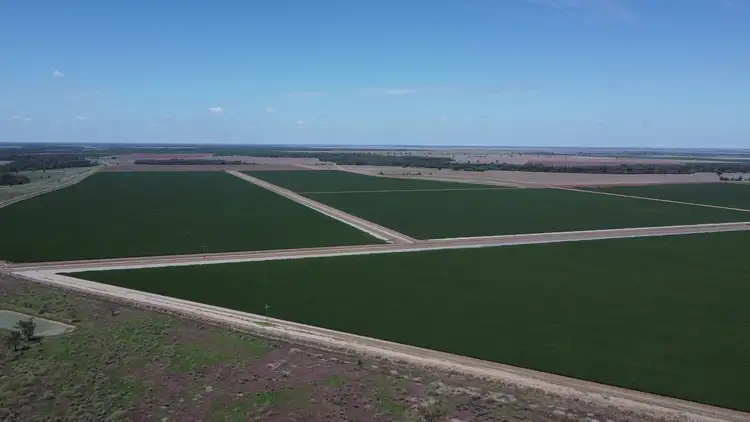 Fourth view of Homely rural property listing, . Carinda Rd, Warren NSW 2824