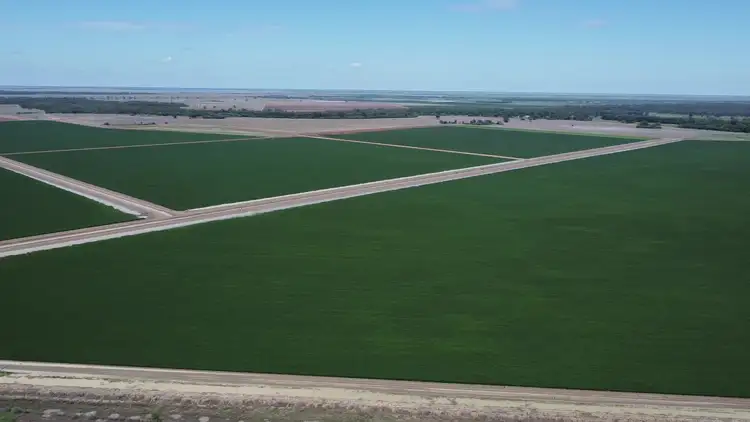 Fifth view of Homely rural property listing, . Carinda Rd, Warren NSW 2824