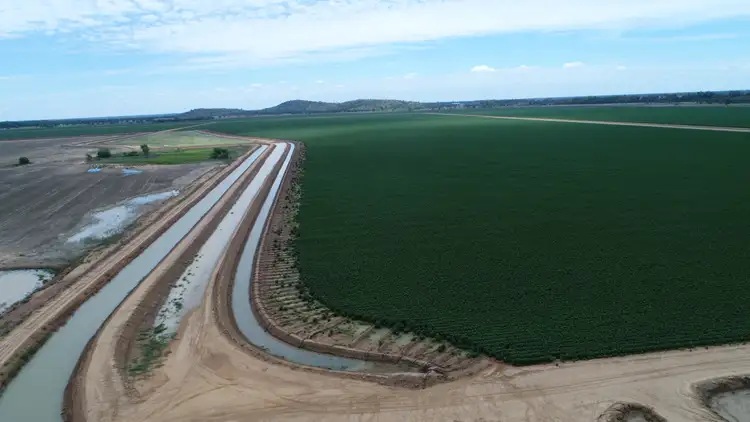 Sixth view of Homely rural property listing, . Carinda Rd, Warren NSW 2824