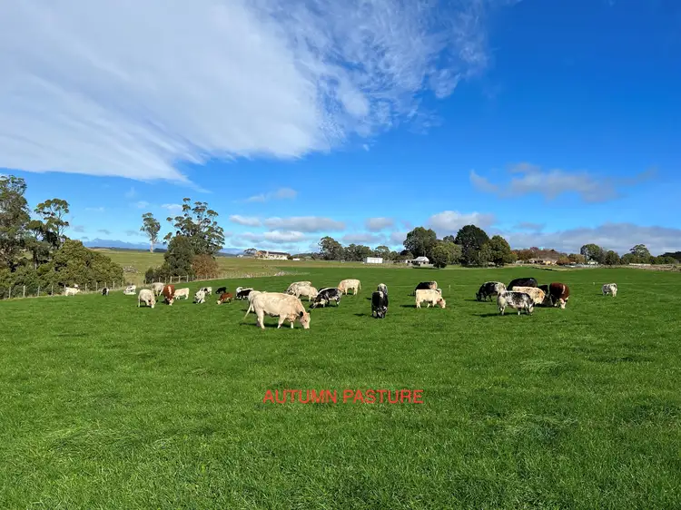 Seventh view of Homely rural property listing, 122783/1 Ridgley Highway, Mooreville TAS 7321