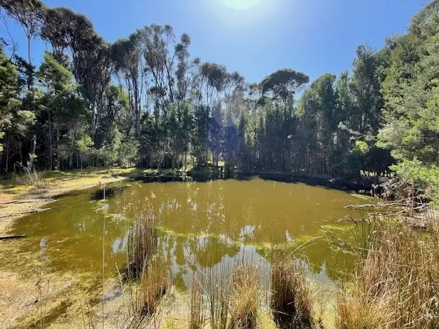 Main view of Homely rural property listing, 00 Fraser Rd, Pegarah TAS 7256